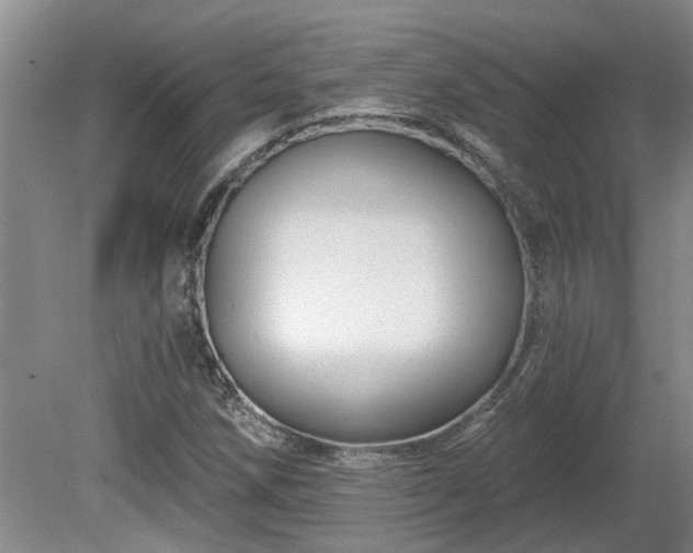 X0000081421258200701191547