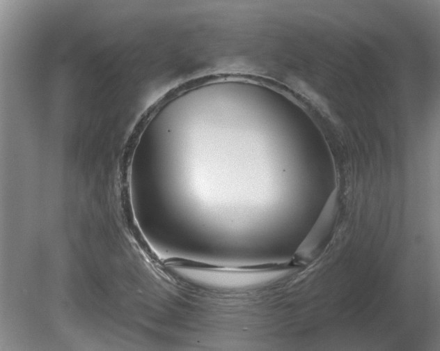 X0000081421264200701191546
