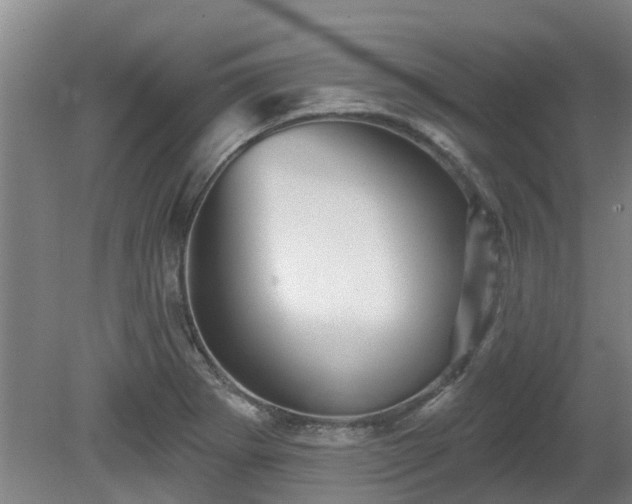 X0000081421273200701191546