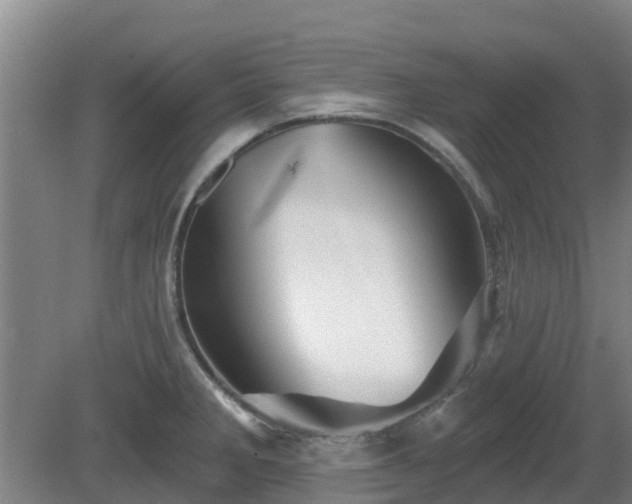 X0000081421285200701191546