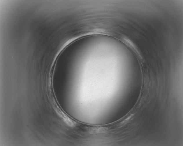 X0000081421292200701191546