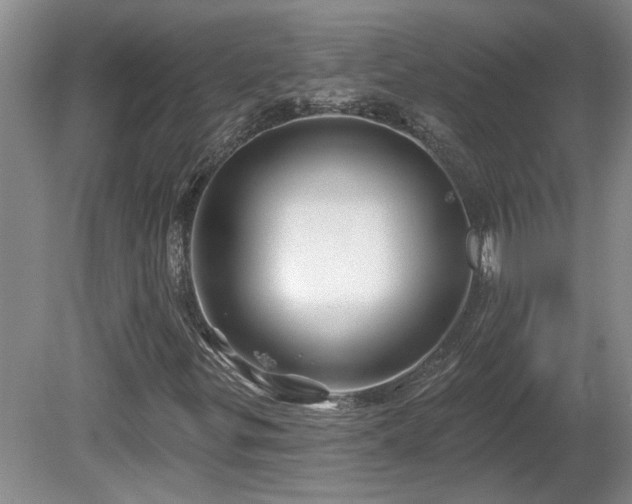 X0000081421299200701191545