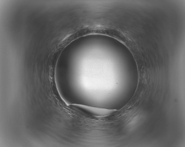 X0000081421301200701191545