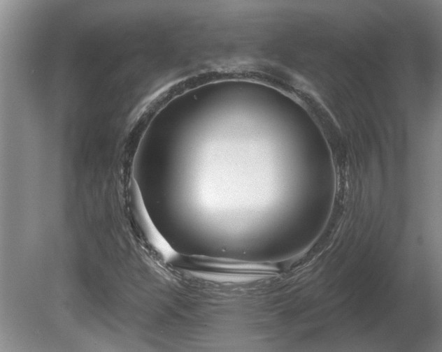 X0000081421304200701191545