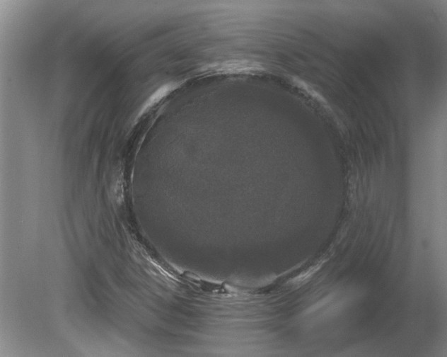 X0000081421306200701191545