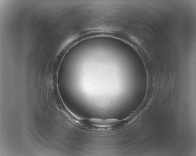 X0000081421307200701191545