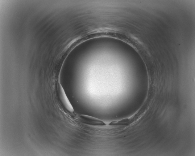 X0000081421313200701191545