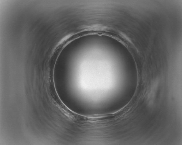 X0000081421315200701191545