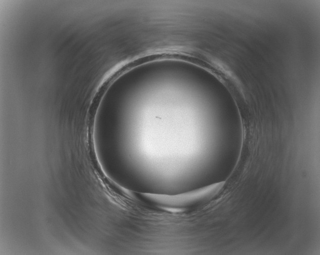 X0000081421316200701191545