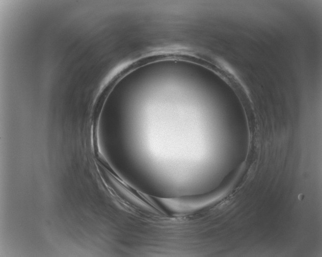 X0000081421320200701191546