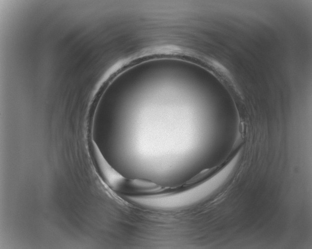 X0000081421326200701191546