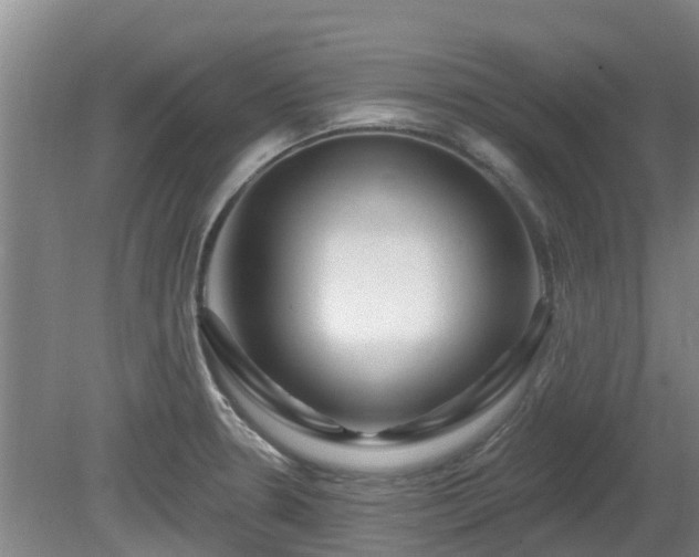 X0000081421330200701191546