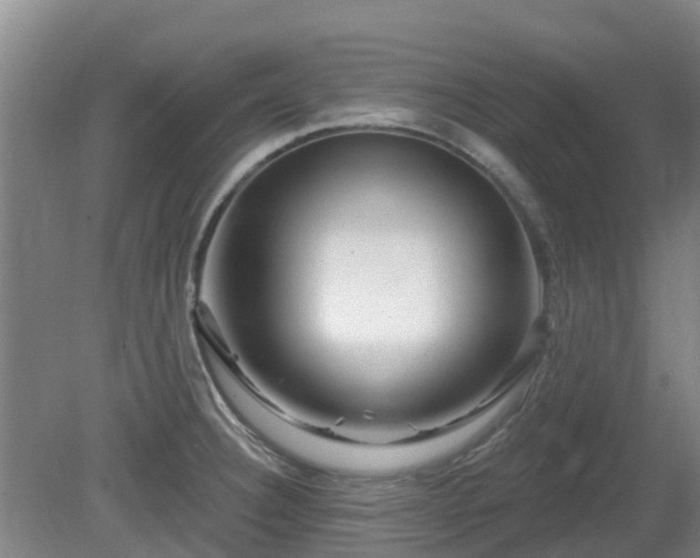 X0000081421332200701191546