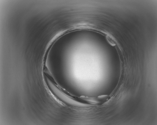 X0000081421333200701191546