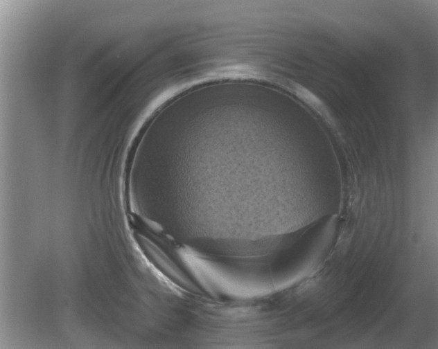 X0000081421334200701191546