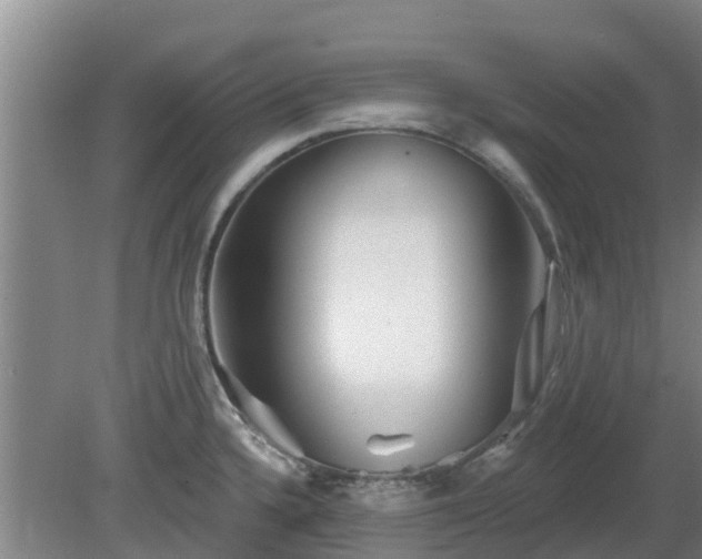 X0000081421336200701191546