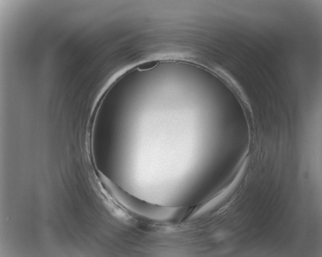 X0000081421340200701191546