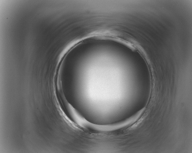 X0000081421344200701191546