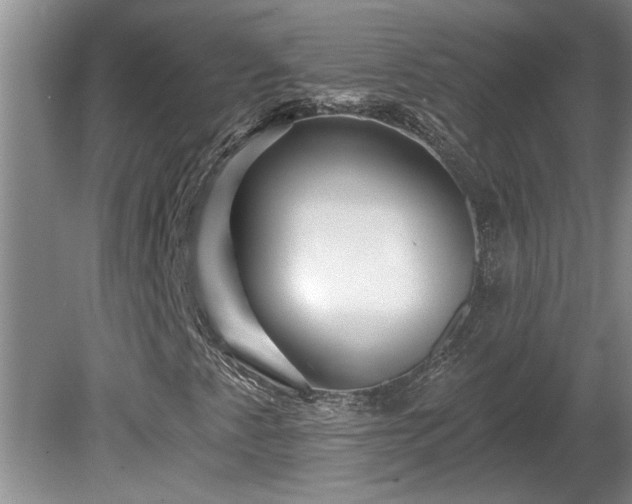 X0000081421345200701191545