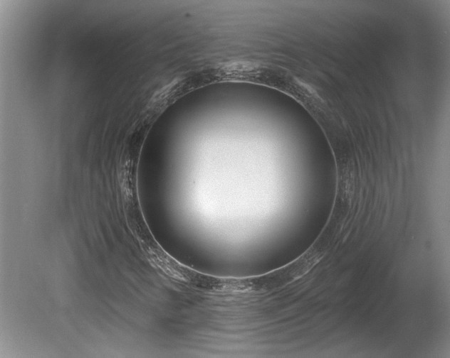 X0000081421346200701191545