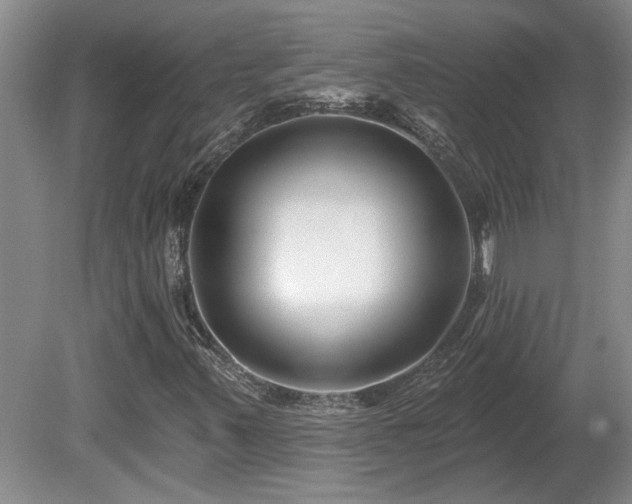 X0000081421347200701191545