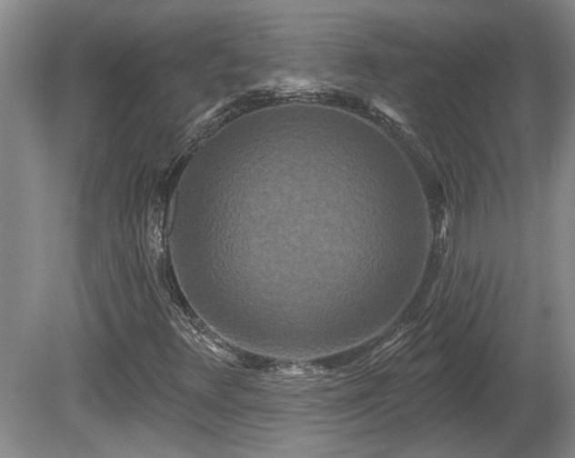 X0000081421348200701191545