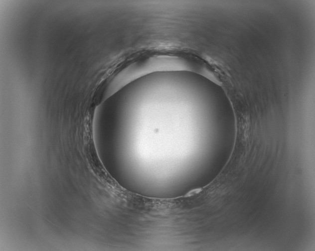 X0000081421349200701191545