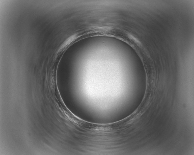 X0000081421354200701191545
