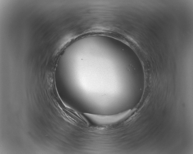 X0000081421355200701191545