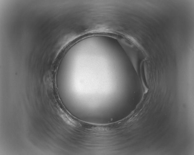 X0000081421356200701191545