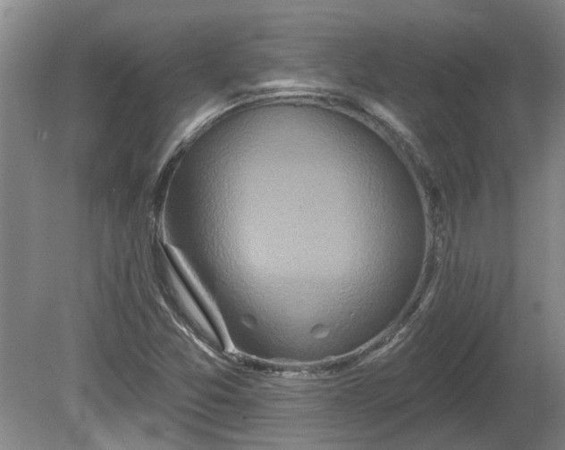 X0000081421357200701191545