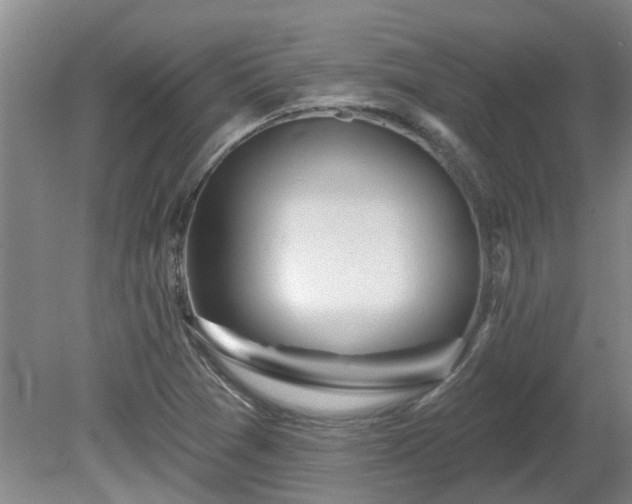 X0000081421361200701191545
