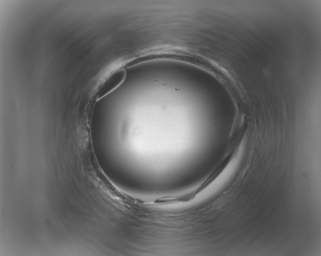 X0000081421363200701191545