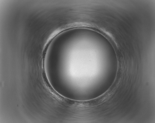 X0000081421365200701191545