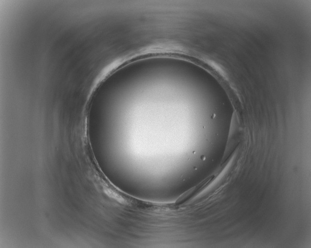 X0000081421366200701191545