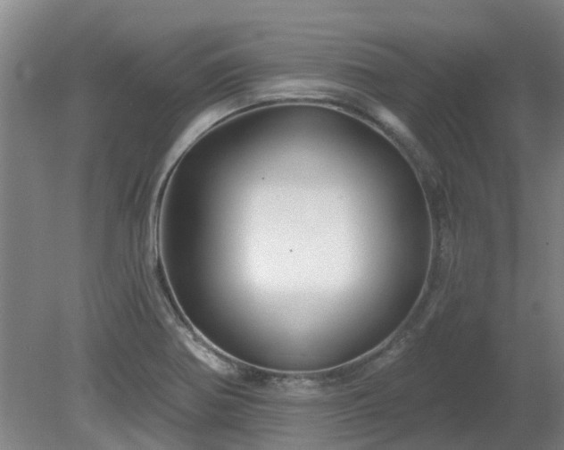 X0000081421370200701191545