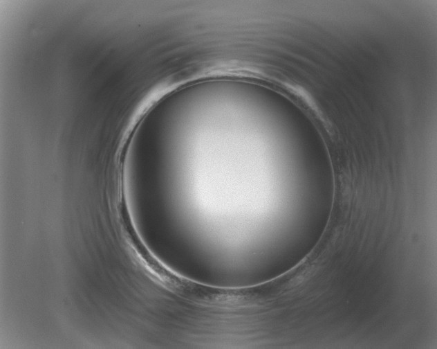 X0000081421371200701191545