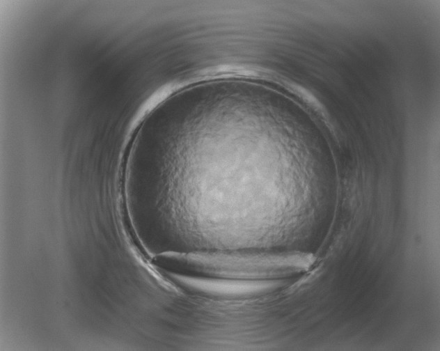 X0000081421373200701191545