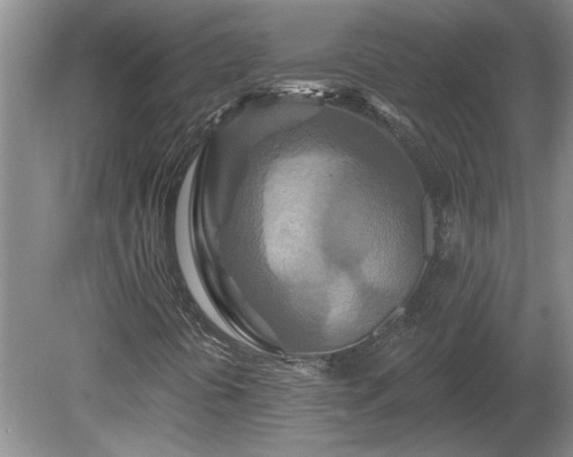 X0000081421394200701191544