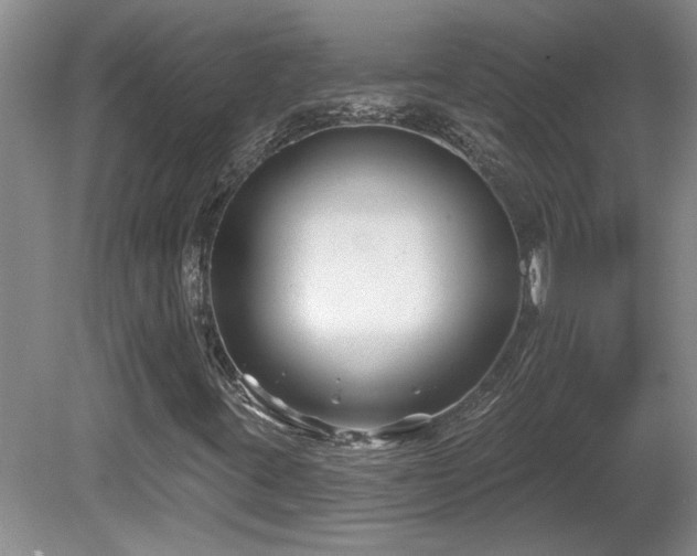 X0000081421395200701191544