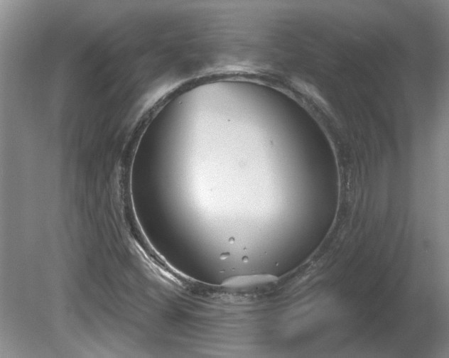 X0000081421404200701191544
