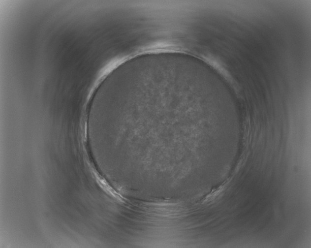X0000081421413200701191544