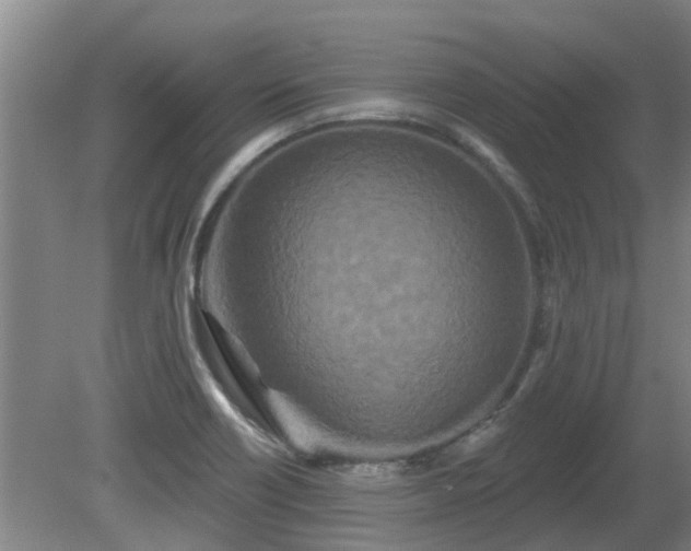 X0000081421418200701191544