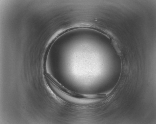X0000081421422200701191544