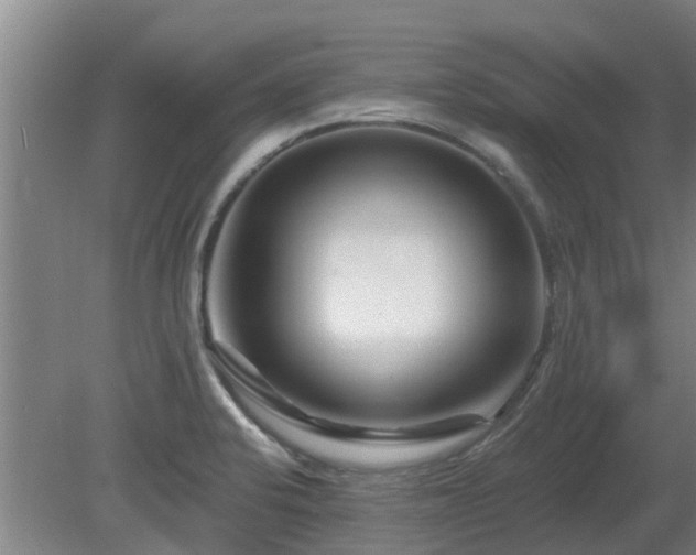 X0000081421424200701191544