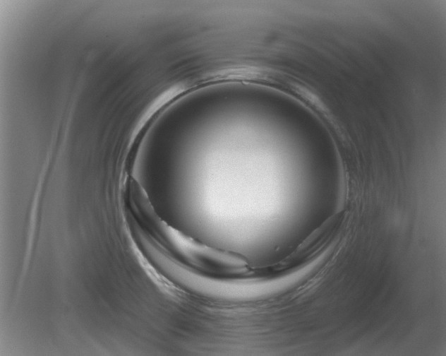 X0000081421426200701191544
