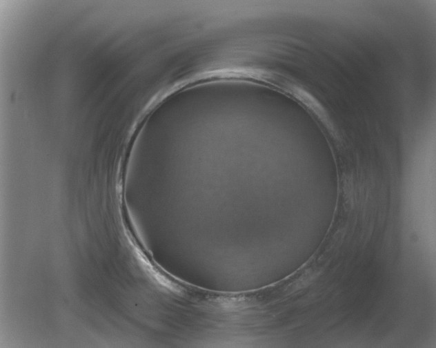 X0000081421428200701191544
