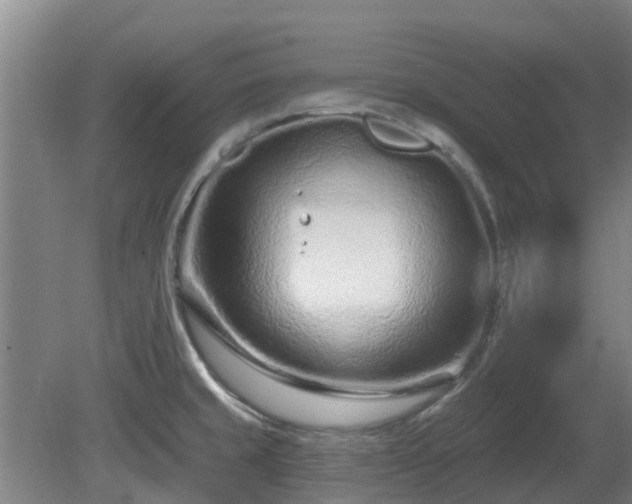 X0000081421429200701191544