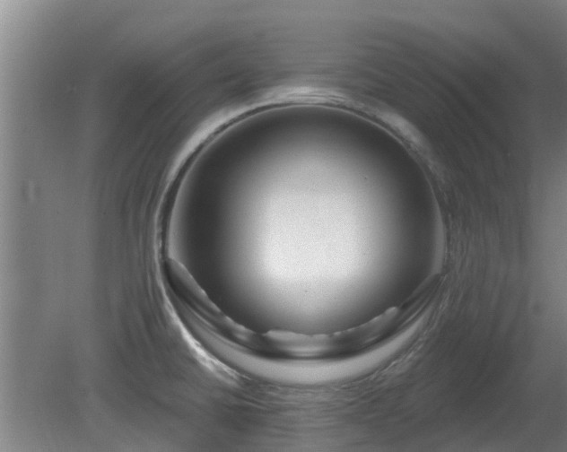 X0000081421430200701191544