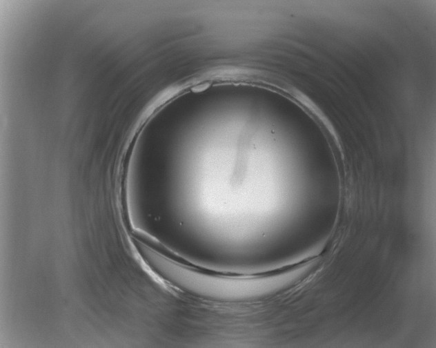 X0000081421437200701191544